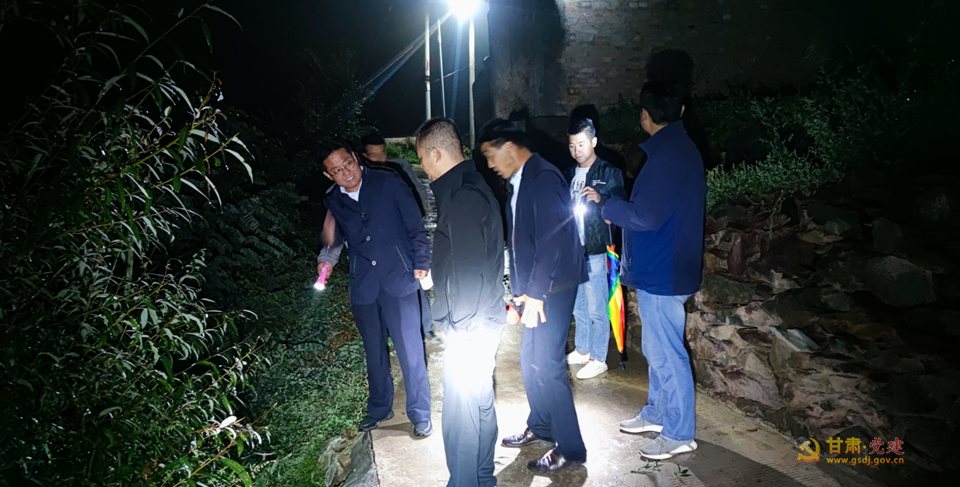 记武山县杨河镇党委书记王想成同志先进事迹