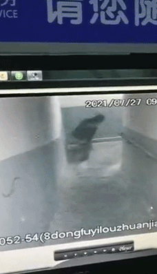 贵阳太恶心!男子在贵阳一小区楼道内小便