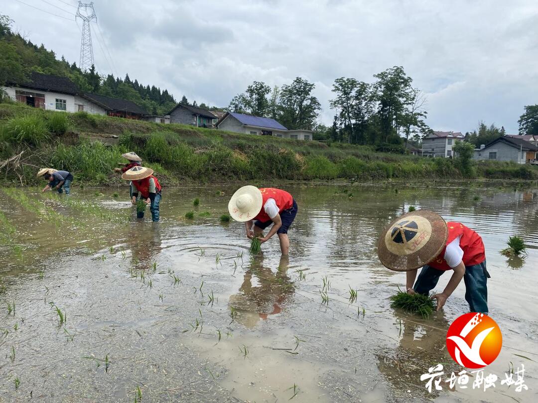 花垣县猫儿乡图片