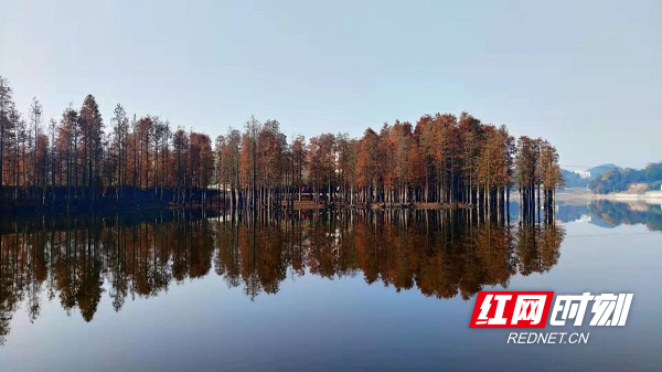 邵阳县长阳铺镇多措并举建设美丽河库