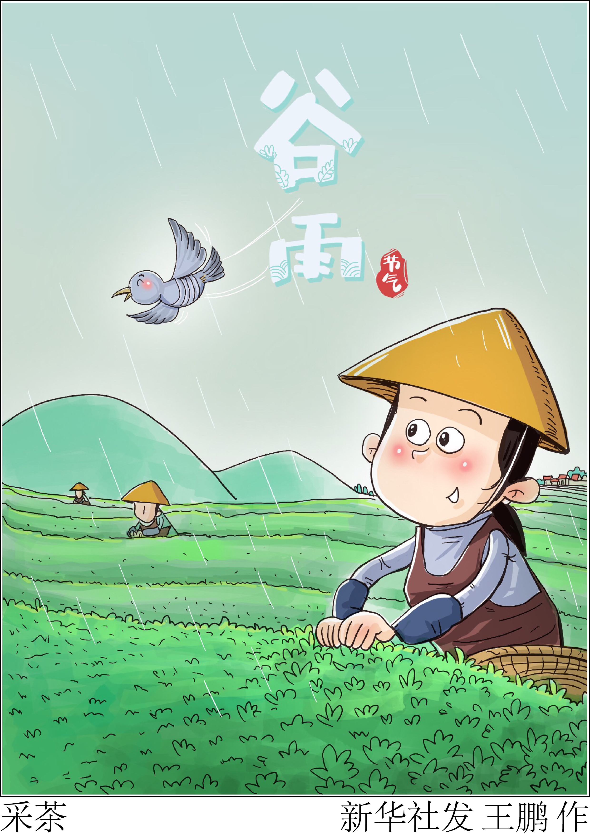 「节令之美·谷雨」采茶