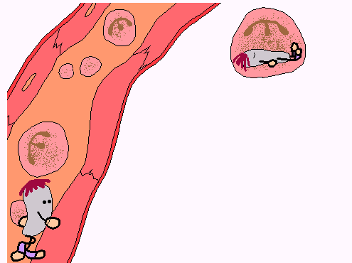【科学普及】人人学懂免疫学:第五十一期