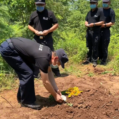 警犬黑虎图片