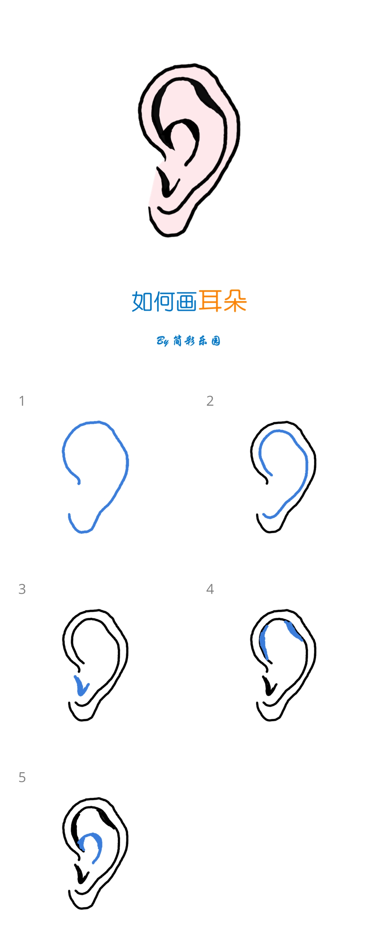 耳朵的简单画法 - 一分钟教你学会画耳朵简笔画