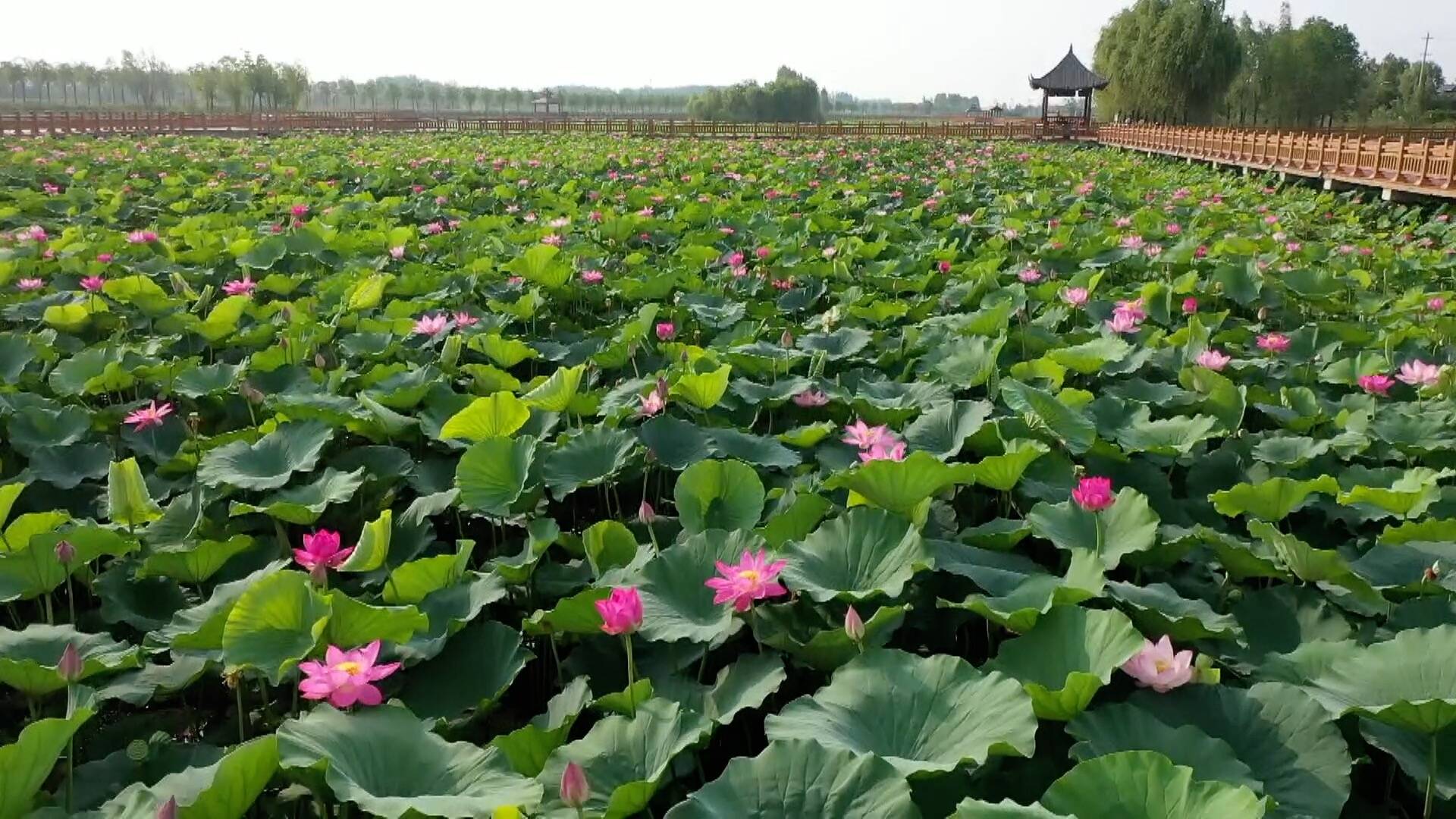 菏泽景点排名图片