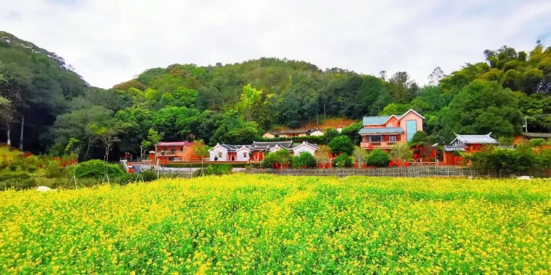 丰顺黄花村旅游景区图片