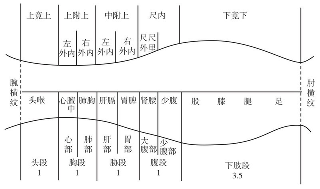 《黄帝内经》中的神奇诊法-诊尺肤