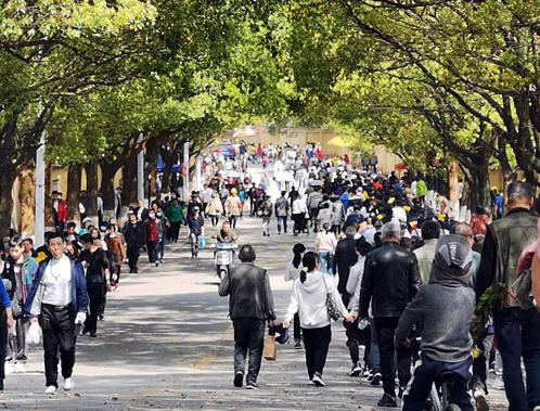 南昌瀛上墓区迎祭扫小高峰