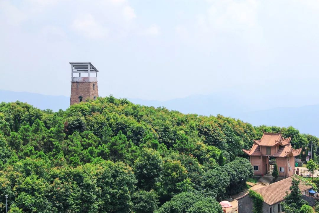 高楼圣井山图片