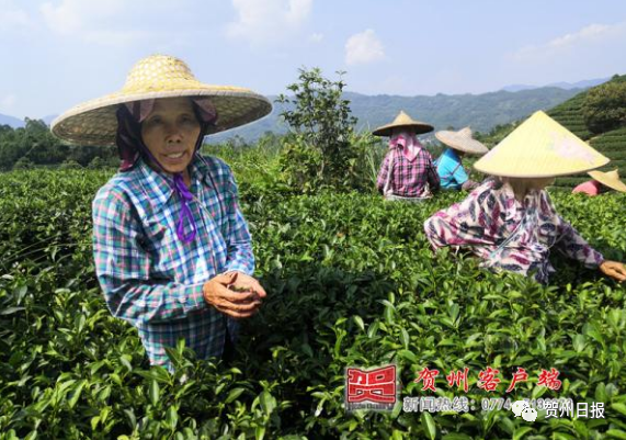 昭平人口图片