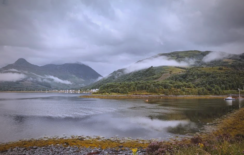 塔里木盆地为什么被称为聚宝盆为什么在线