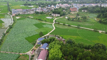 分水乡虎形山村支部书记姜建强的强村梦