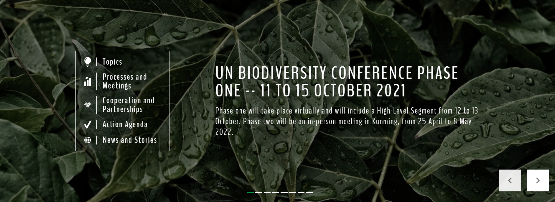 中国绿发会就组建cbd cop15代表团赴昆明参会等事宜召开工作会议