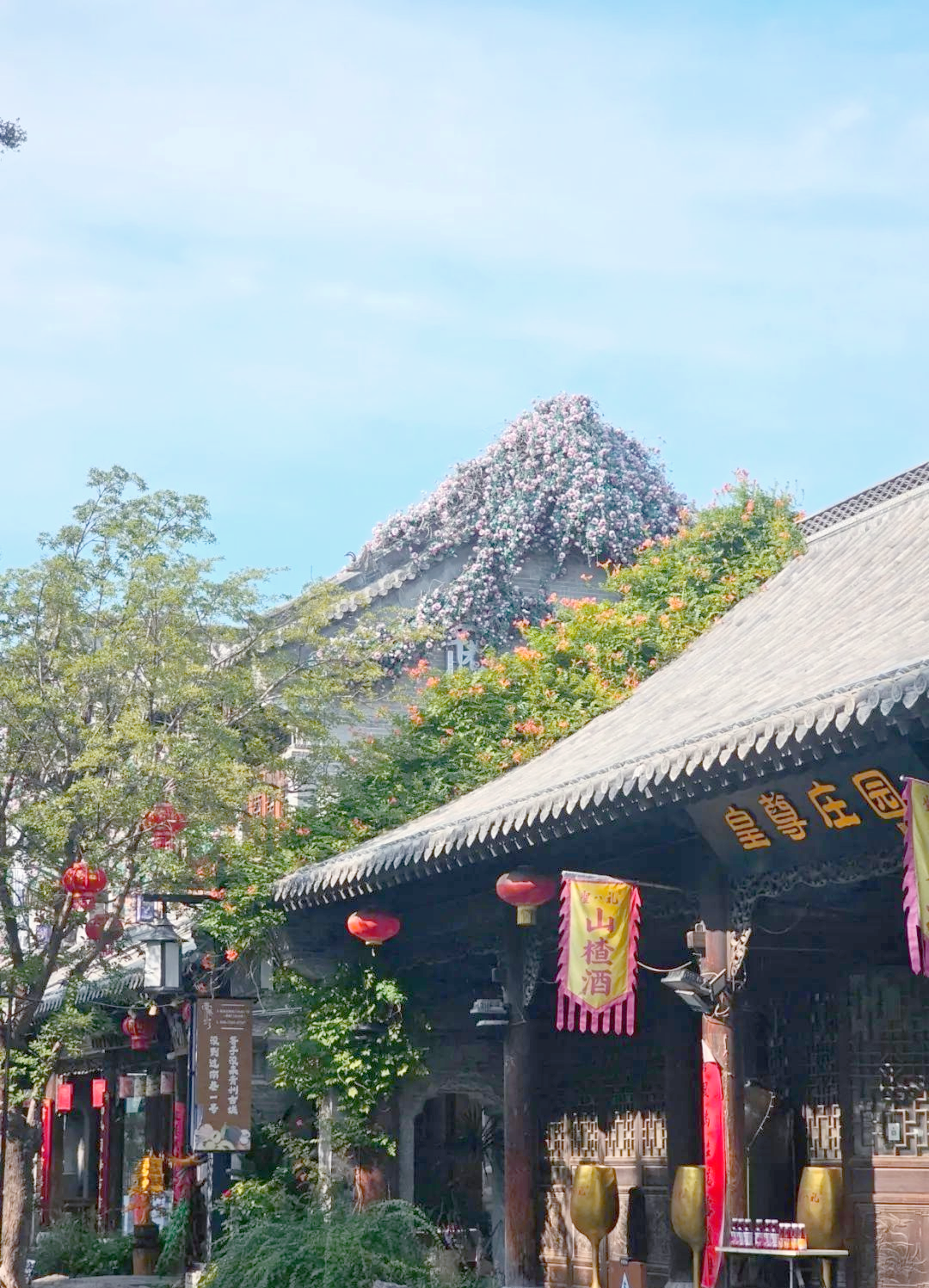 山东潍坊不可错过的多个景点,你探索过几处?