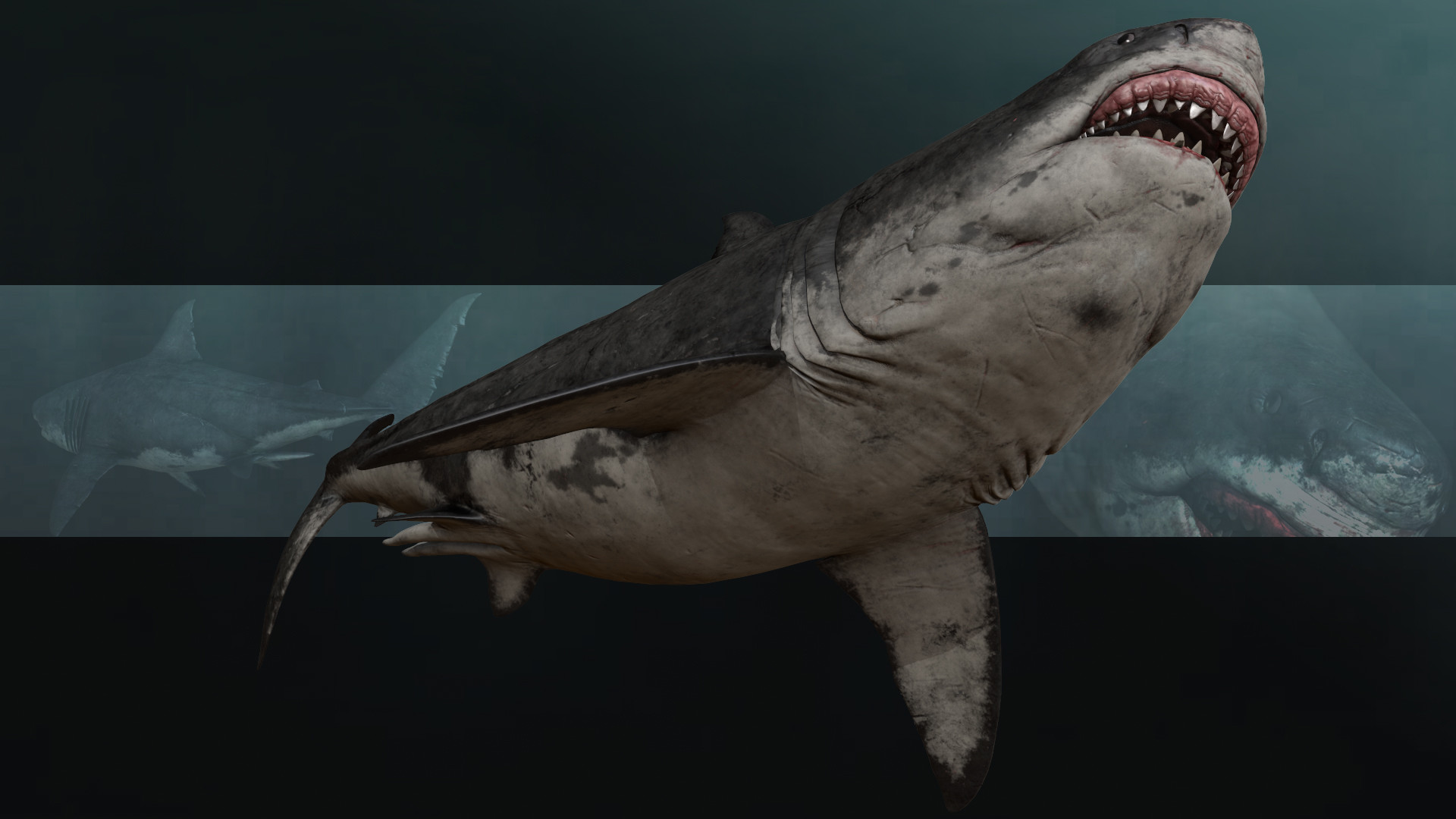 饥饿鲨古巨齿鲨图片图片
