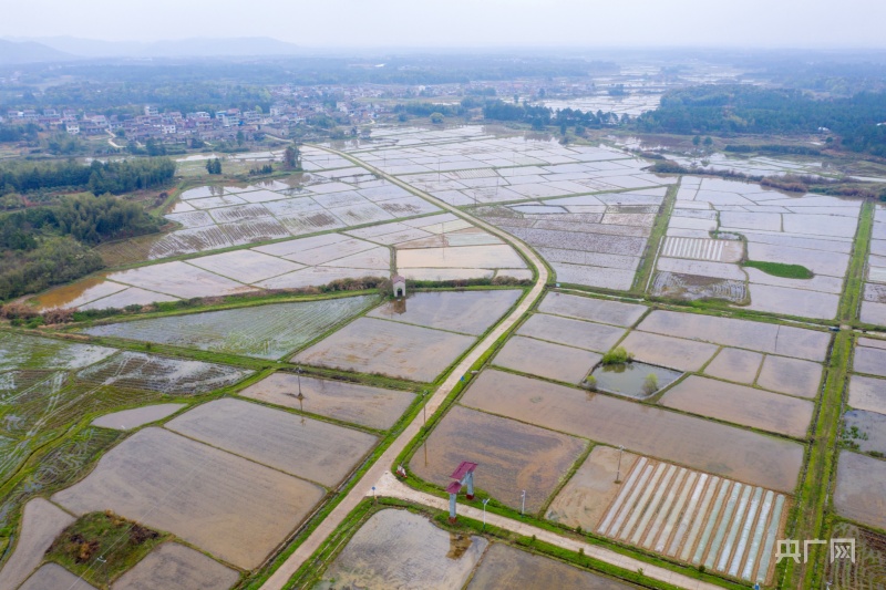「春日里的中国」田园阡陌纵横 水田如镜