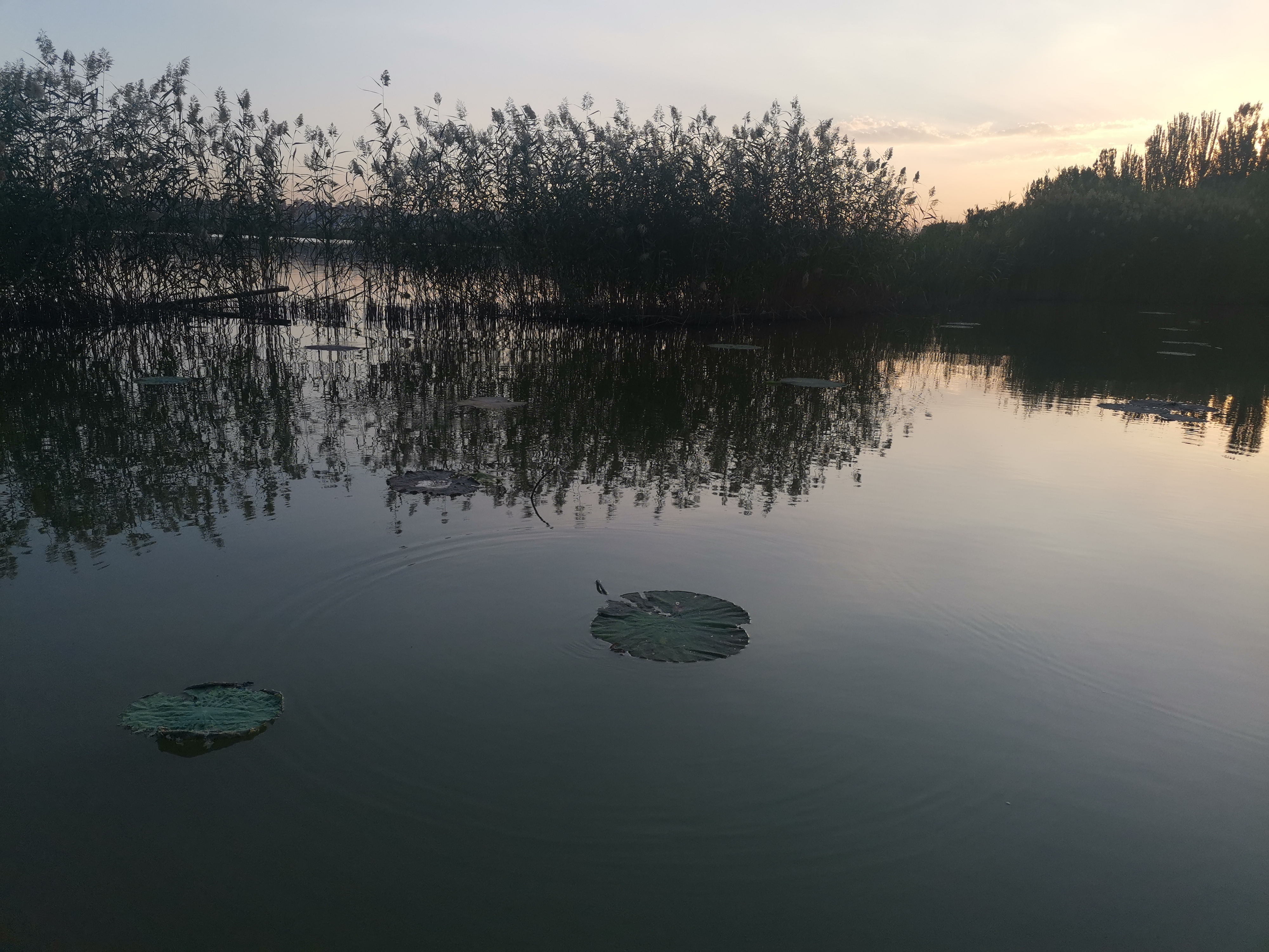 银川海宝公园图片