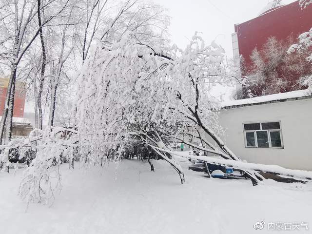 内蒙古未来三天大暴雪图片