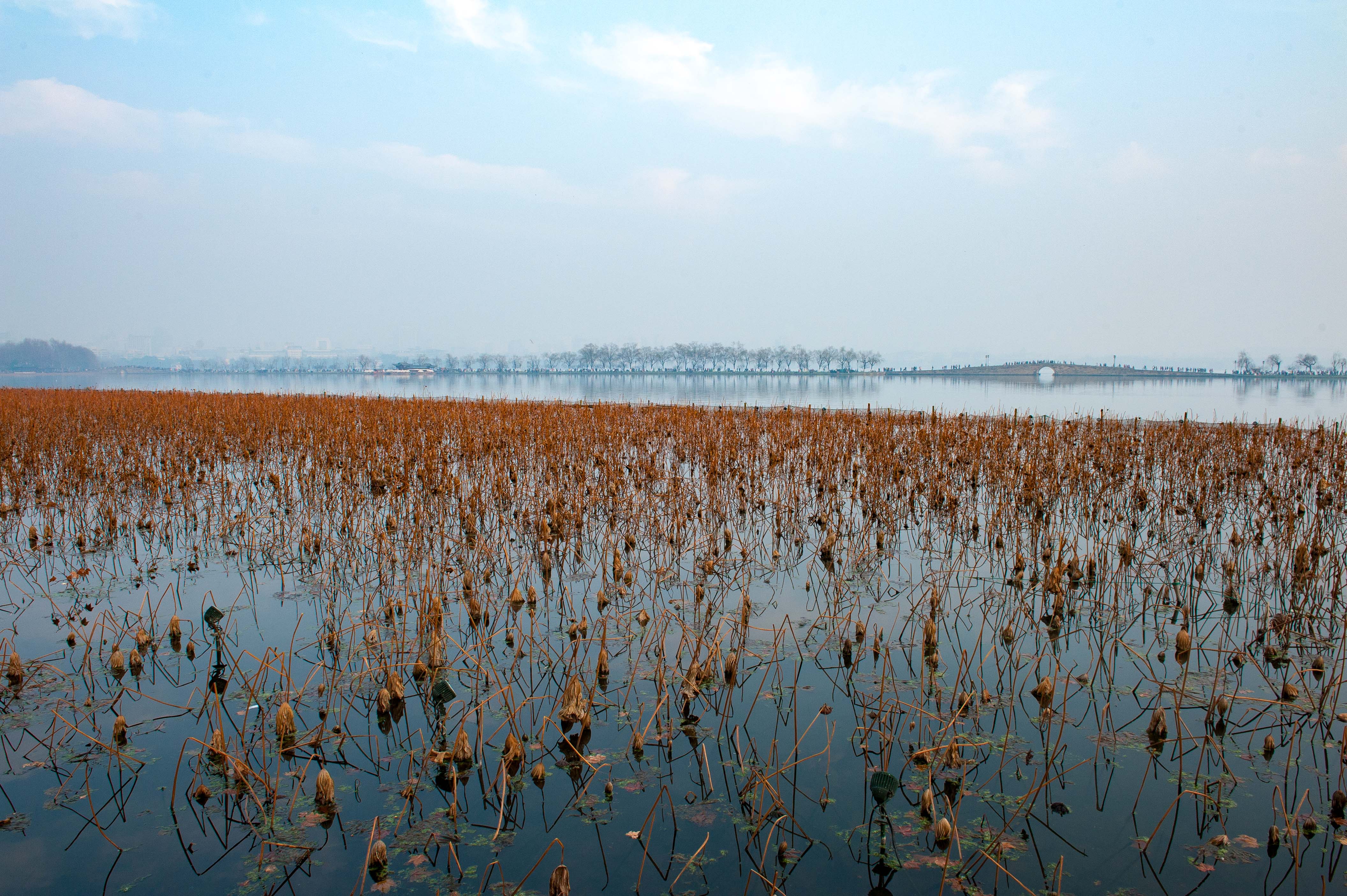 秋天的杭州美在哪里?摄影师的镜头告诉你,杭州的秋景在西湖之西
