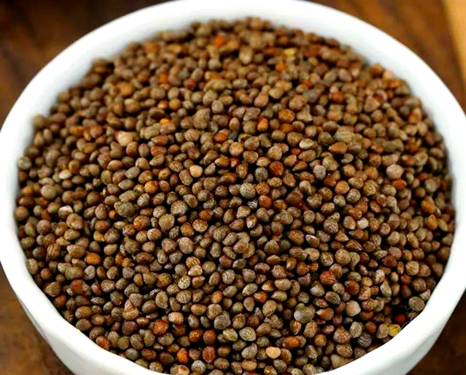 中药饮片辨识:紫苏子的特征与应用解析