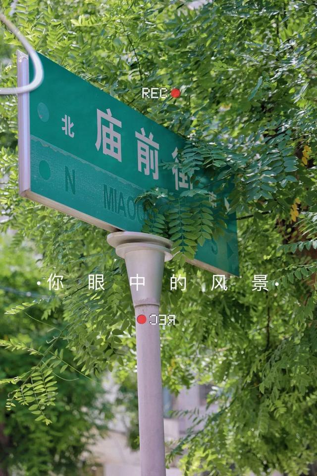 太原迎泽区庙前街:总有美妙在不经意间