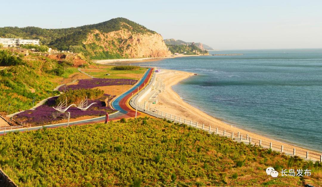 南长山街道上榜第二批市级乡村振兴示范镇创建名单