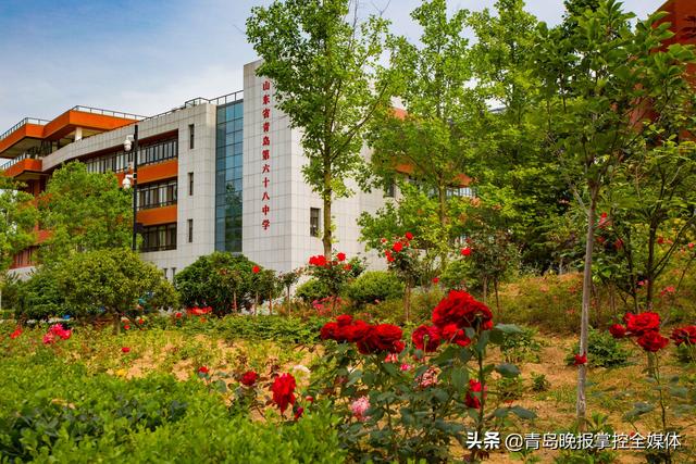 青岛六十八中:打造学校新样态 擦亮教育新名片