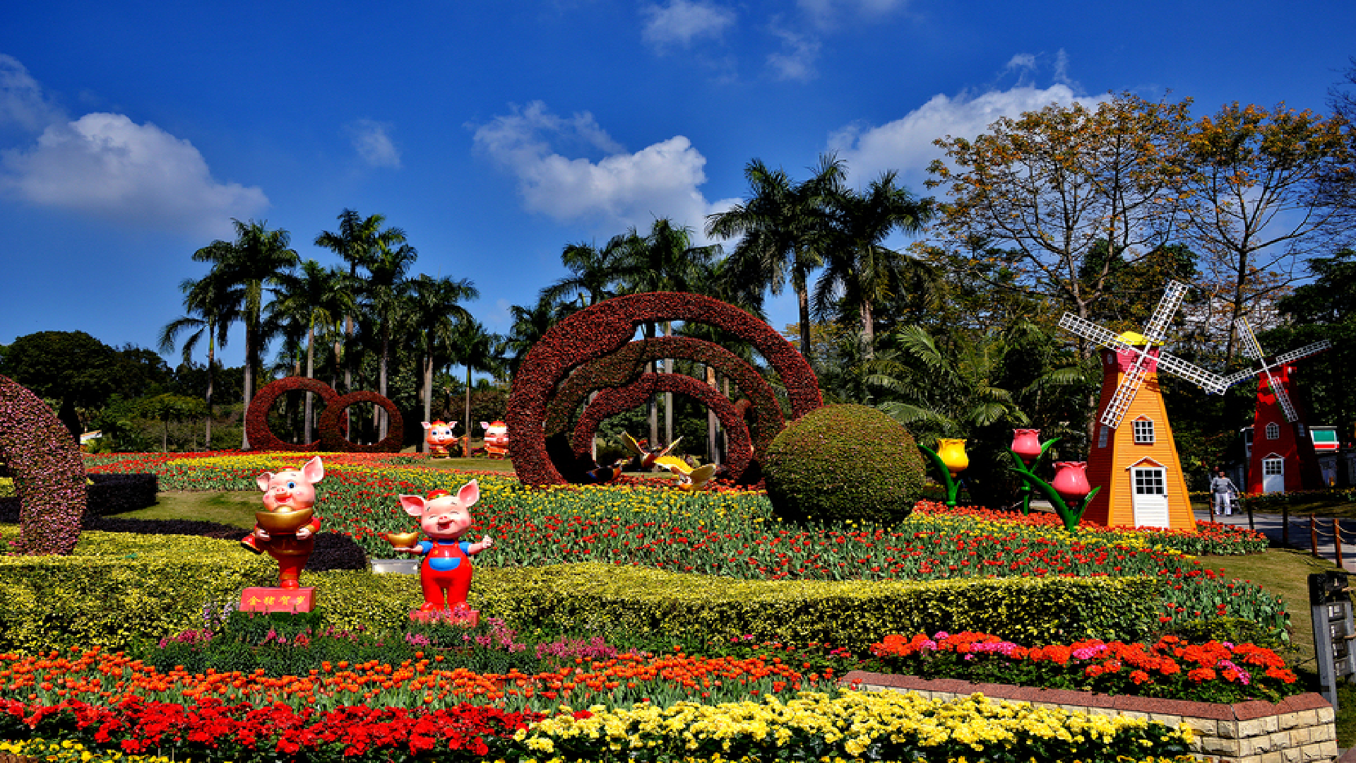 藏在广州市区的"大花园",12万平的景色包罗万象,门票仅需25元