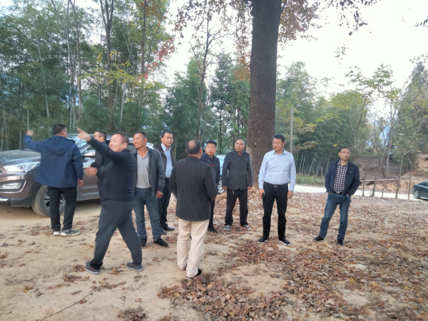 谢可赞深入大福镇云雾村调研指导乡村振兴工作