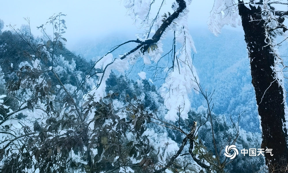 桂林猫儿山雾凇图片