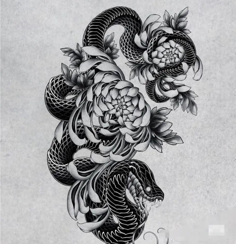 蟒蛇纹身手稿与多样图案欣赏,探索新传统纹身与满背纹身的魅力