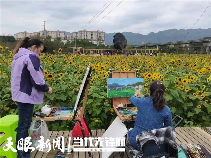 「歡度國慶長假 ·鄉村旅遊閤家歡」湄潭甜蜜小鎮向日葵花開迎客