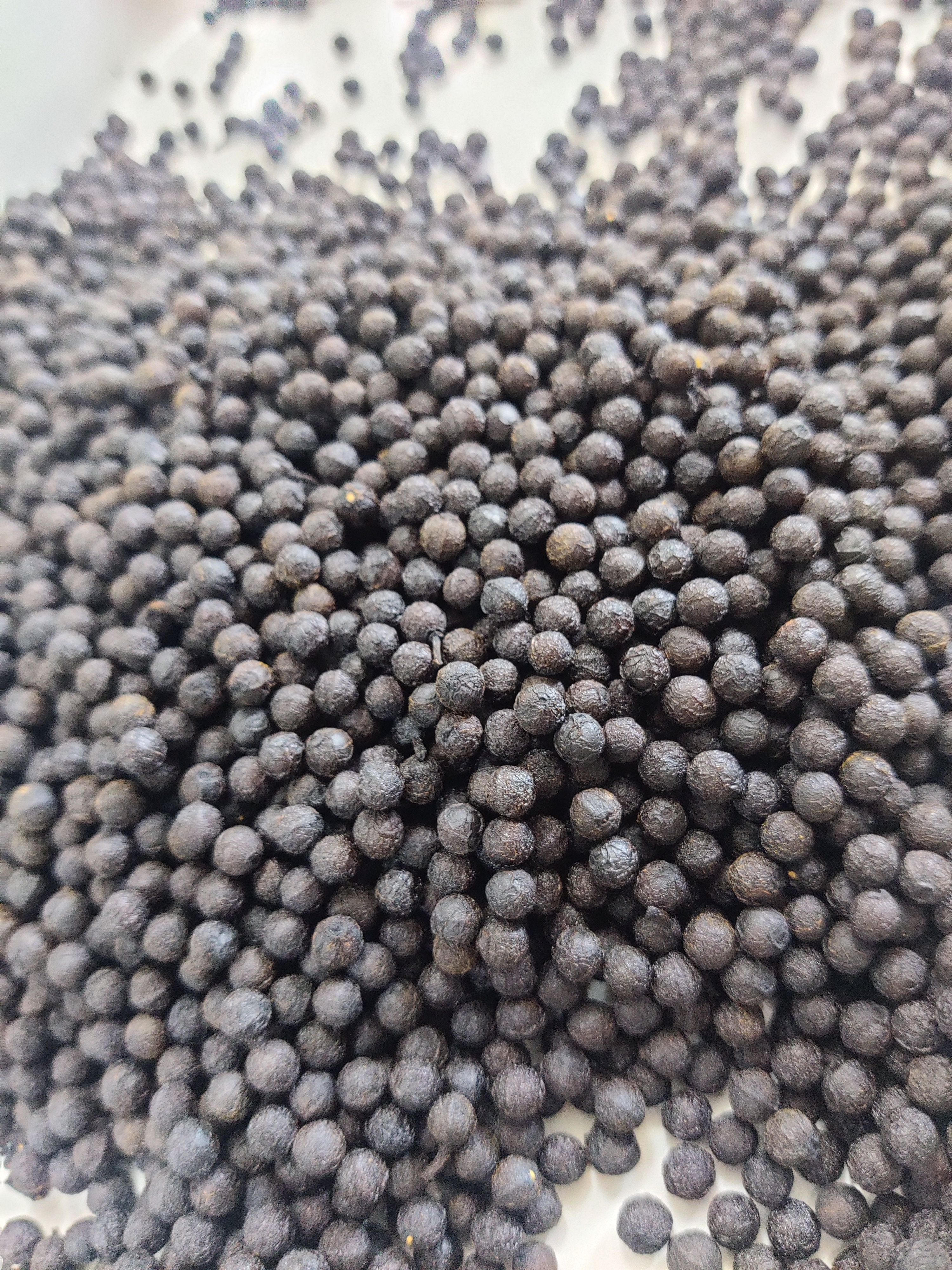 长年供应木姜子(山苍子)干货