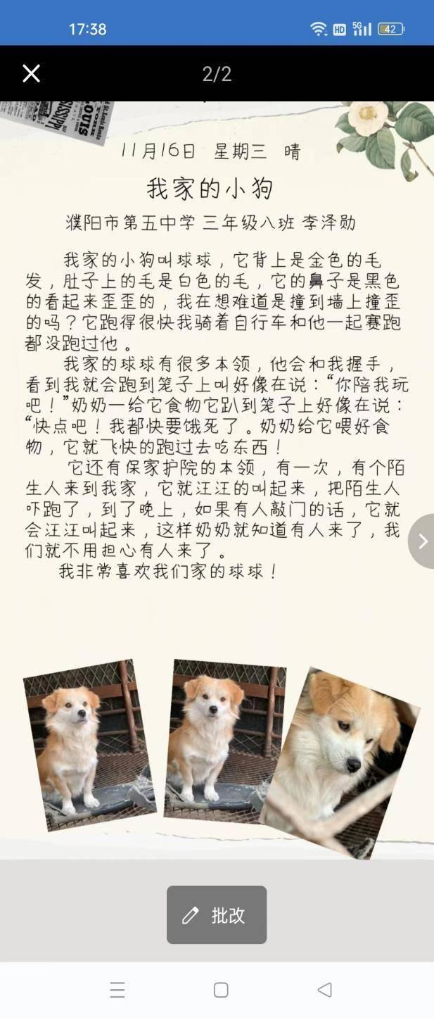 巧用mori手帐,记录多彩生活——濮阳市第五中学三年级习作展