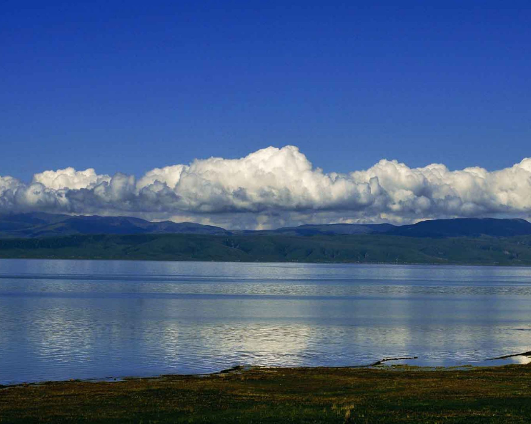 青海湖是淡水湖还是咸水湖水产_【青海湖是淡水湖还是咸水湖有鱼吗】