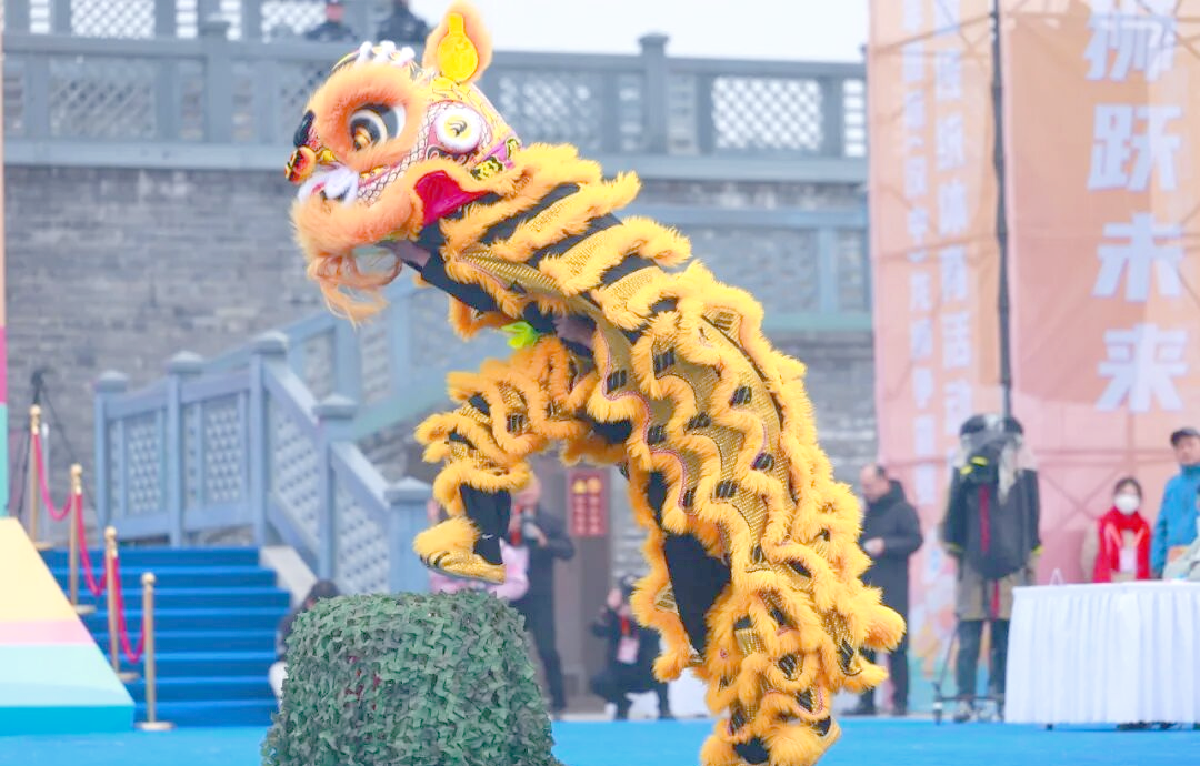 2024汉中龙狮争霸赛:传统与现代的交融盛宴