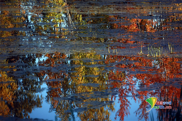 俄罗斯梅拉河畔秋景迷人