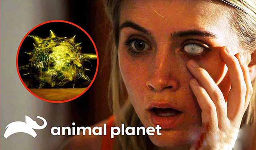 纪录片解说热门素材推荐:怪病医治题材篇——新手自媒体解说必选