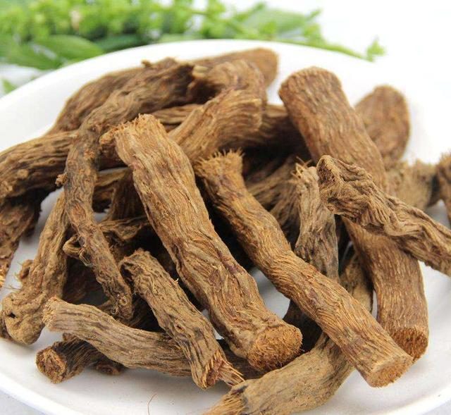 认识中国的植物之八——川牛膝