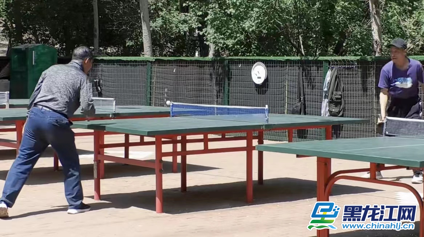 哈尔滨顾乡公园6月1日起可以免费露营啦