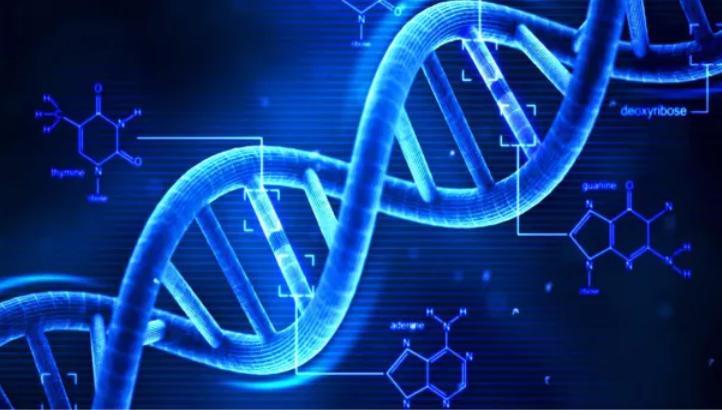 dna双螺旋结构的发现及其带来的启示