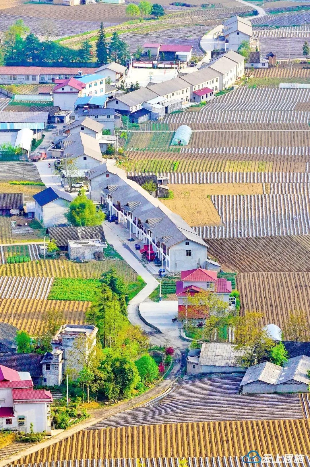 美丽乡村丨鹤峰县大五里坪村:小康梦"扮靓"小山村