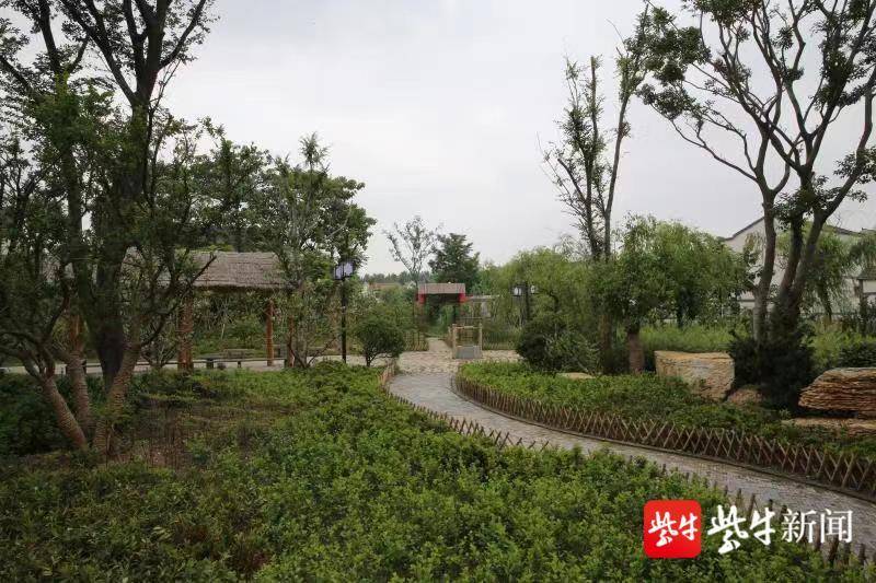 江苏丰县大沙河镇:三个"代表"描绘农村人居环境新画卷