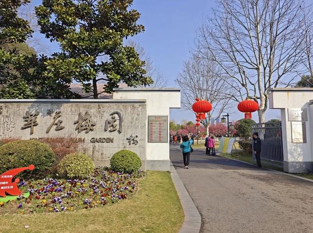 玉兰郁金香和梅花来闵行看花花花花花海