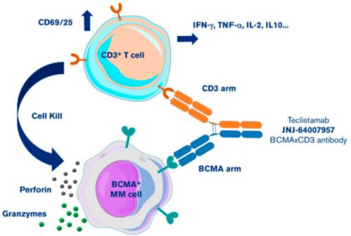 全球首批！首款BCMA/CD3双抗获欧盟批准