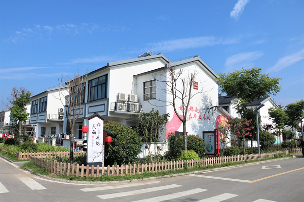 盐城建湖高作镇:新赛道上跑出加速度