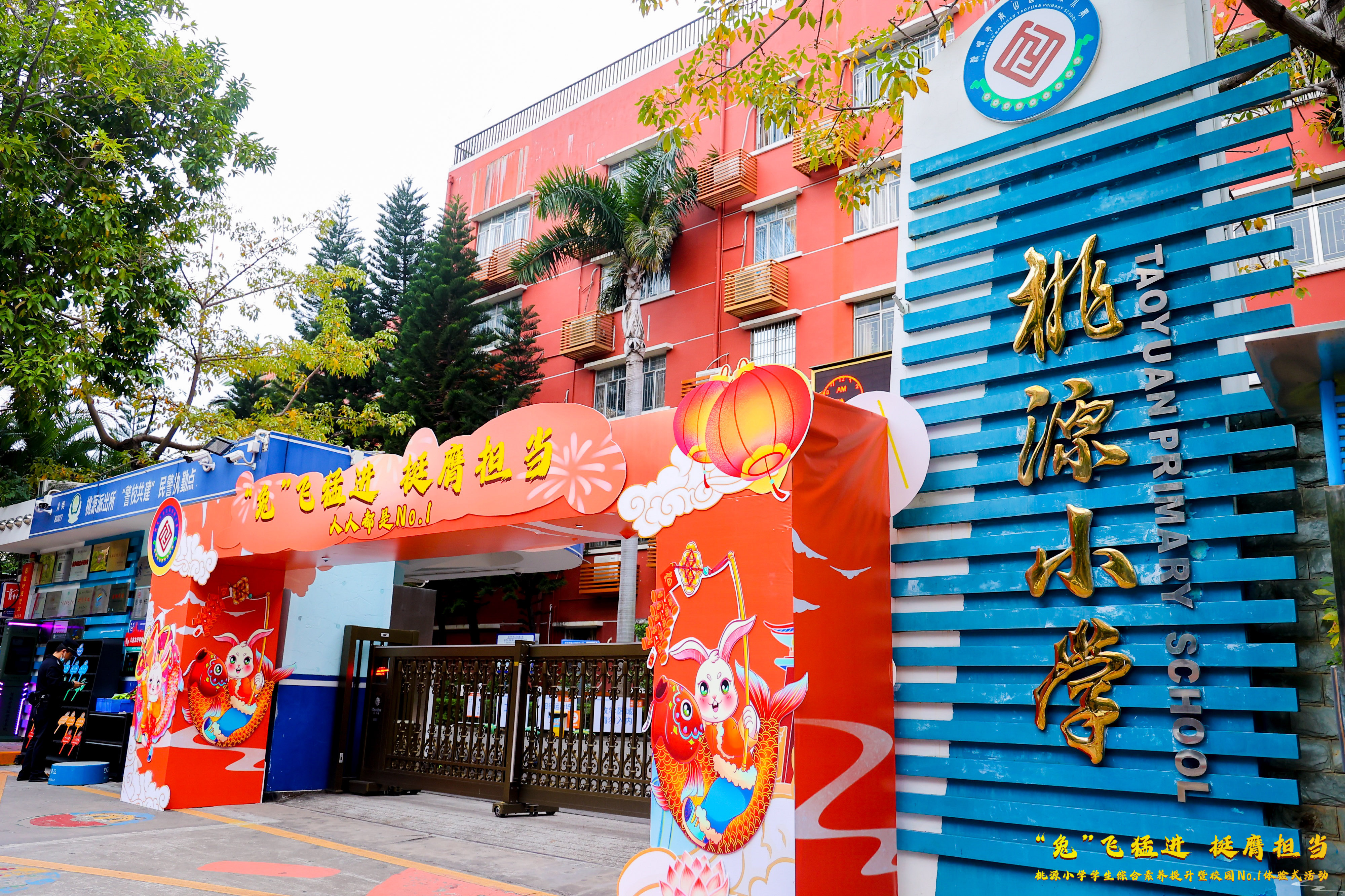 南山区桃源小学图片