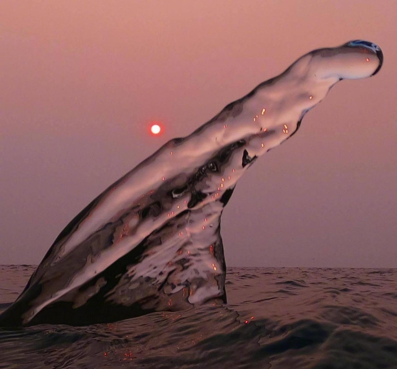 太阳下落,海浪归潮,波涛间蕴含无尽的梦想. ins:smitherspix