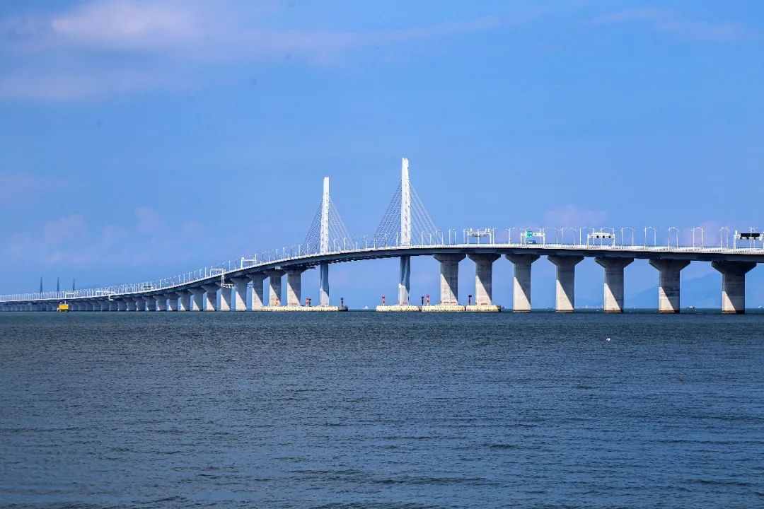 69国际档案日栉风沐雨数十载风华赓续谱新篇