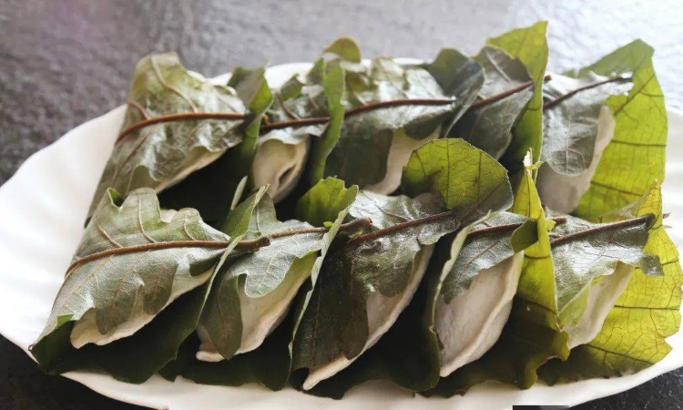 日照粽子叶子是什么叶子